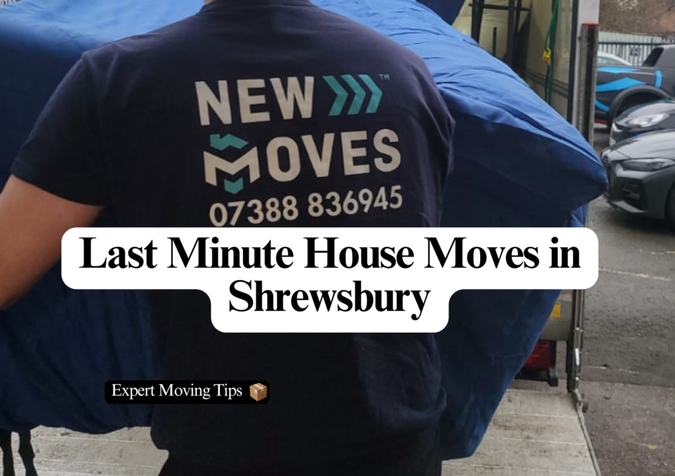 New Moves mover in a branded t-shirt carrying a blue blanket-wrapped item from a removal van, with the blog title overlaid