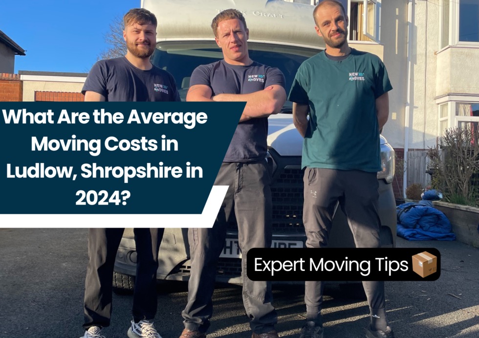 Three New Moves Removals team members standing in front of a branded removal van